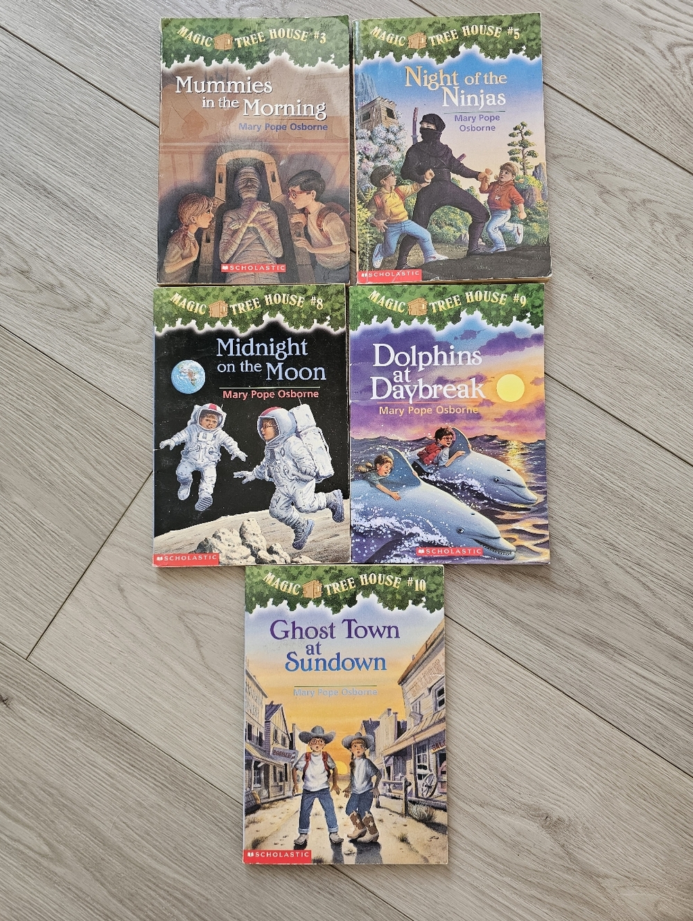 Magic Treehouse Paperback Novels, Lot of 5 Chapter Books
